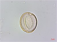 登錄號:S082499藏品圖，第2張