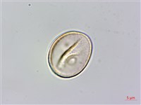 登錄號:S082499藏品圖，第3張