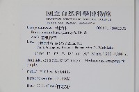 普剌特草藏品圖，第2張
