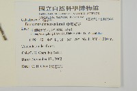 中國衛矛藏品圖，第2張