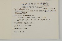 變葉藜藏品圖，第2張