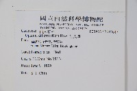 仙人掌藏品圖，第2張