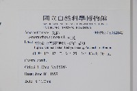 刺莧藏品圖，第2張