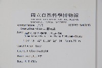 野莧菜藏品圖，第2張