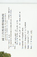 王瓜藏品圖，第2張