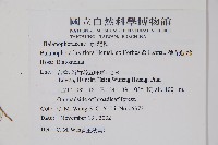 穗花蛇菰藏品圖，第2張