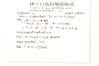 蔓黃菀藏品圖，第2張