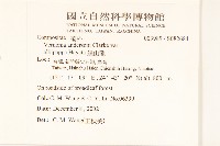 過山龍藏品圖，第2張