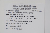 臺灣馬藍藏品圖，第5張