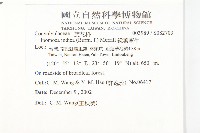 銳葉牽牛藏品圖，第2張