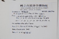 瓜馥木藏品圖，第2張