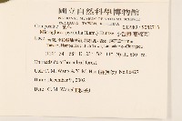 小舌菊、蔓綿菜藏品圖，第2張