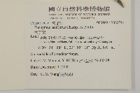 大丁黃藏品圖，第2張