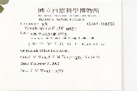 黃鵪菜藏品圖，第2張