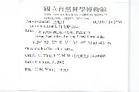 紅花野牽牛藏品圖，第2張