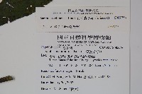 冇骨消藏品圖，第2張