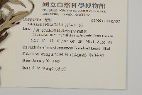 中南蒿藏品圖，第2張