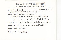 薺藏品圖，第2張