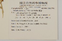 繁縷藏品圖，第2張