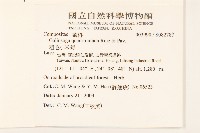 粗毛小米菊藏品圖，第2張