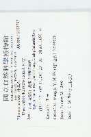 杜英藏品圖，第2張