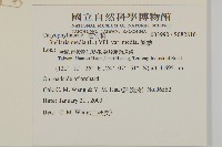 繁縷藏品圖，第2張