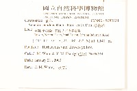 蔓黃菀藏品圖，第2張