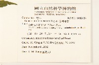 臺灣澤蘭藏品圖，第2張