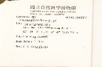 過山龍藏品圖，第2張