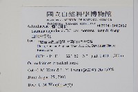 山地水冬瓜藏品圖，第2張