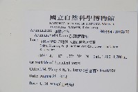 糙葉獼猴桃藏品圖，第2張