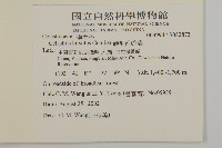 硬毛南蛇藤藏品圖，第2張