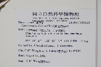 高山倒提壺藏品圖，第2張