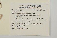 登錄號:S082906藏品圖，第2張