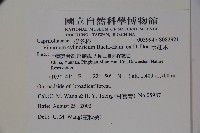 水紅木藏品圖，第2張