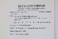 登錄號:S082923藏品圖，第2張