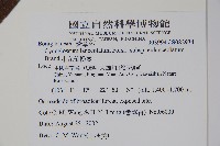 小花倒提壺藏品圖，第2張