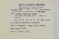 菊葉魚眼草藏品圖，第2張