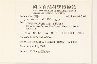 白仔菜藏品圖，第2張