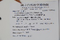 假吳茱萸葉五加藏品圖，第2張