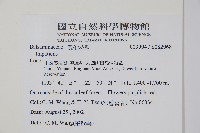 登錄號:S082968藏品圖，第2張