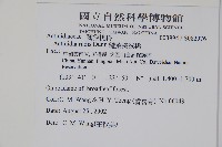 糙葉獼猴桃藏品圖，第2張