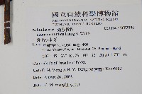 蛛毛水東哥藏品圖，第2張