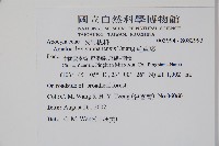 毛車藤藏品圖，第2張