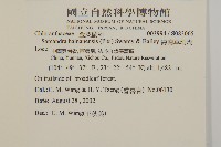 海南草珊瑚藏品圖，第2張