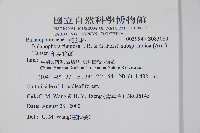 印度蛇菰藏品圖，第2張