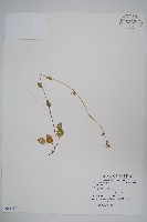 登錄號:S083139藏品圖，第1張