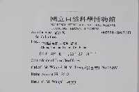 登錄號:S083143藏品圖，第2張