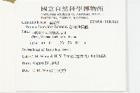 蒙自飛蛾藤藏品圖，第2張