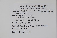 金江槭藏品圖，第2張